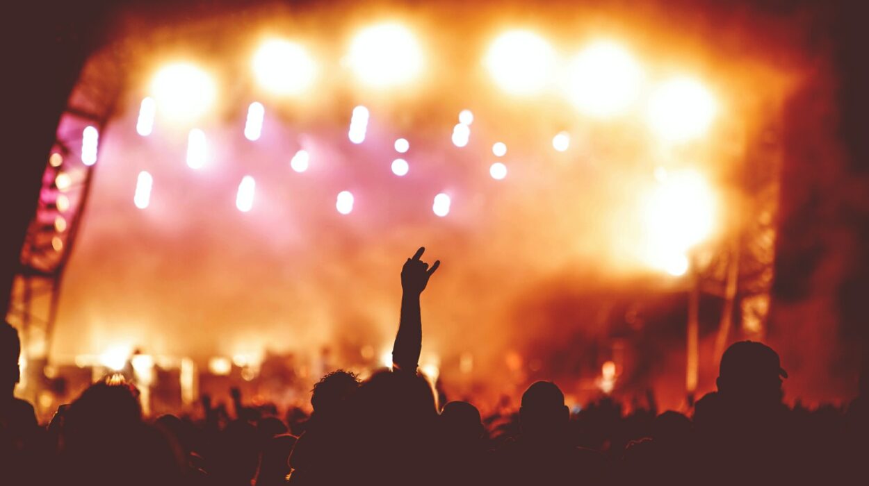 silhouette of people during concert