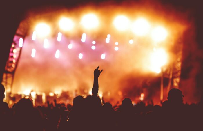 silhouette of people during concert